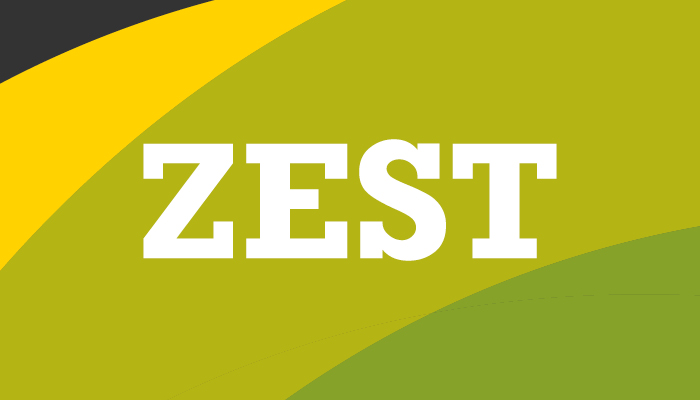 Andrew Kitchen | Brand Identity | Zest