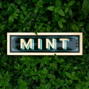Mint Sign | Andrew Kitchen | Design Shop | Hand Painted Sign | Mint | Enamel Paint