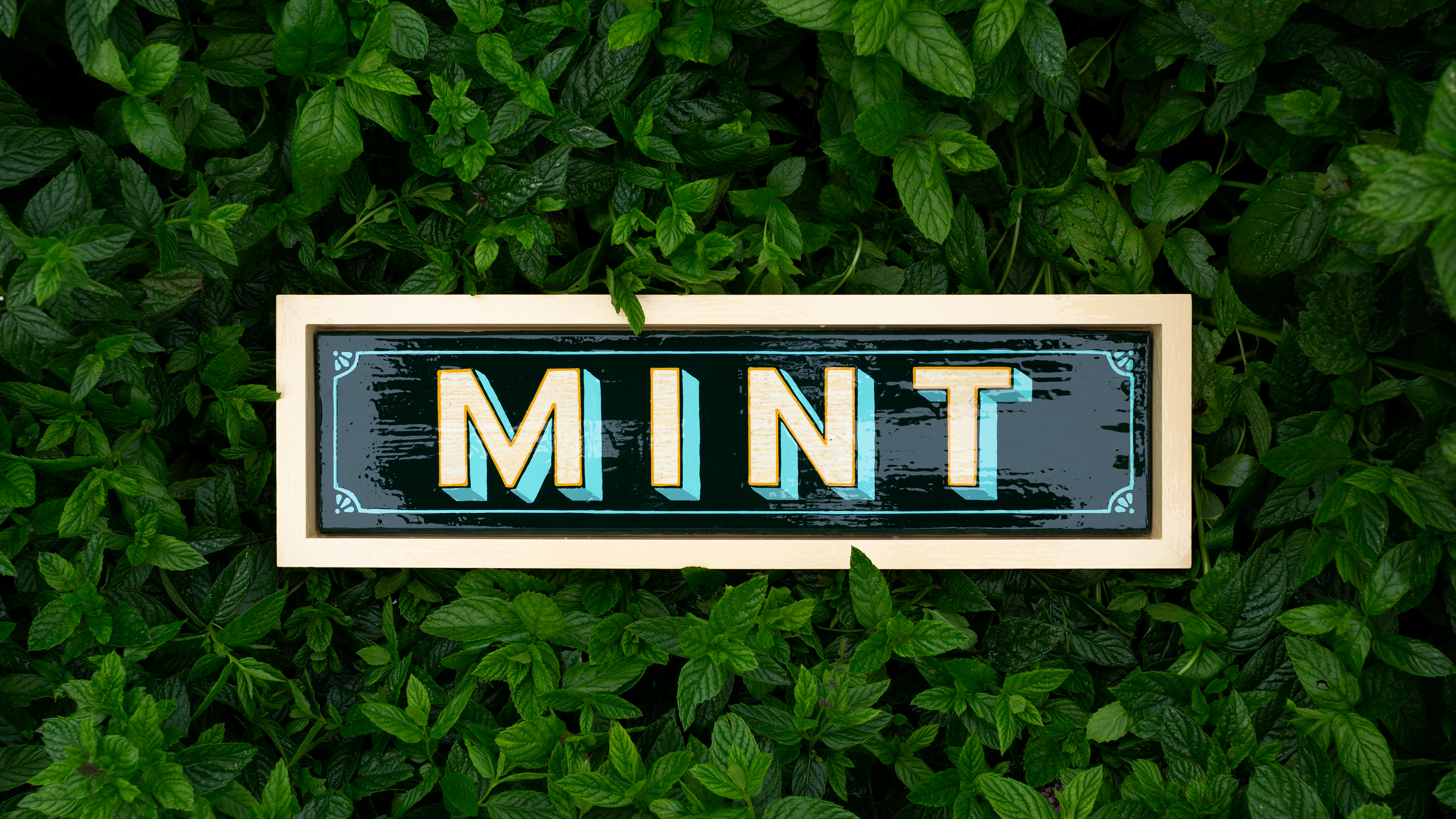 Mint Sign | Andrew Kitchen | Design Shop | Hand Painted Sign | Mint | Enamel Paint